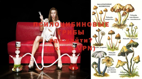 круглые Алексеевка