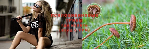 круглые Алексеевка